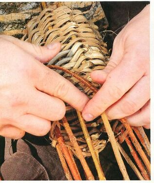 Basketry Artist Matt Tommey demonstrates how to weave a basket